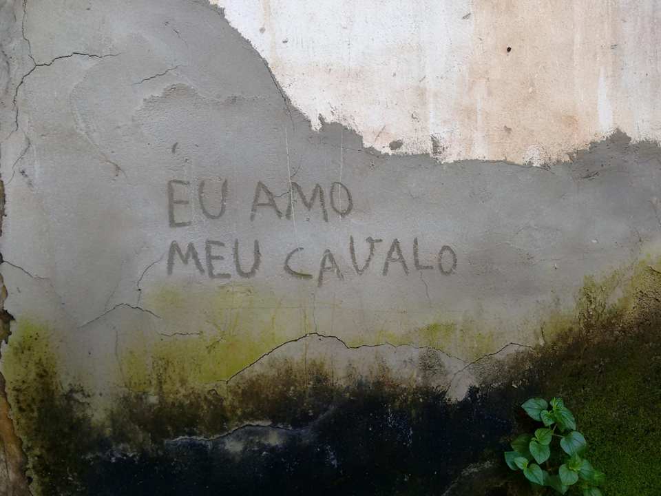 Eu amo meu cavalo